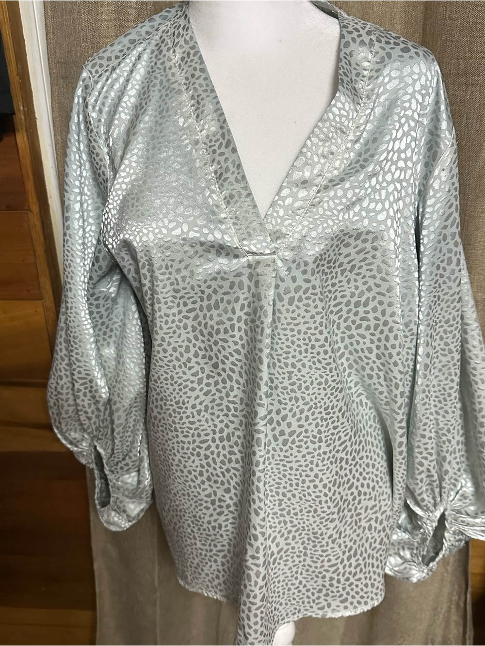 Women's Metallic Silver V-Neck Long Sleeve Top